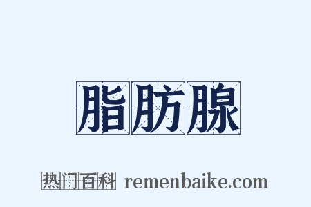 脂肪腺是什么意思的图片